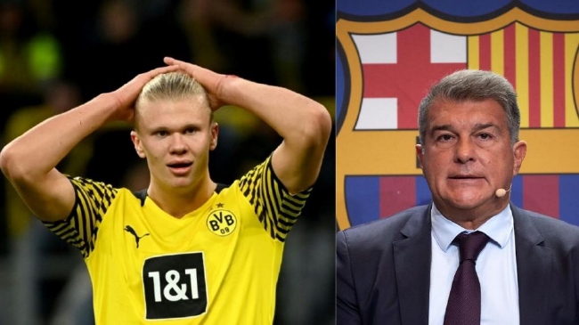 Wynn Sports2025年移动端下载量增长50%